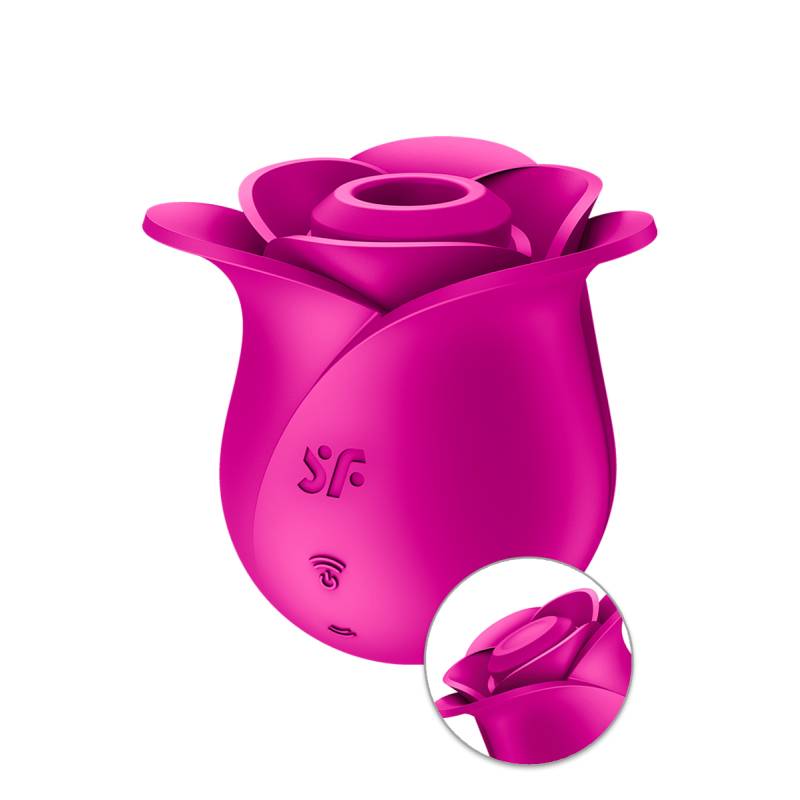 Stimulateur clitoridien Satisfyer Pro 2 Modern Blossom